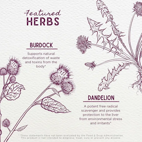 Miniatura 4 de WishGarden Herbs Tónico de fuerza hepática - Suplemento de apoyo hepático a base de plantas con bardana, raíz de diente de león y raíz de muelle