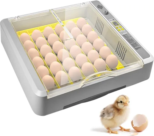 Incubadora de 36 huevos para incubar pollitos con control automático de temperatura y humedad, vista panorámica multifuncional ultra clara con días