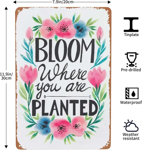 Miniatura 3 de Letrero de metal de inspiración de jardín, 8 x 12 pulgadas, "Bloom Where Planted", decoración rústica de pared para invernadero, porche y estética