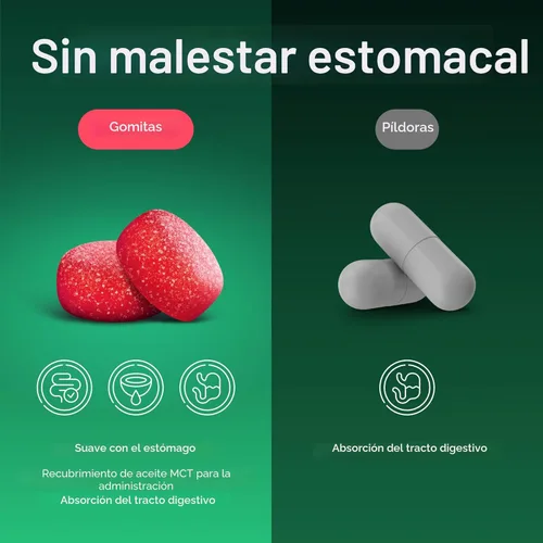 Miniatura 3 de Suplemento de apoyo GLP-1, gomitas complejas de berberina sin azúcar con canela de Ceilán, cardo mariano y ACV [activador metabólico AMPK]