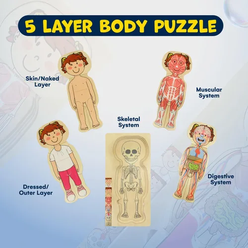 Miniatura 4 de Kidzlane Rompecabezas de Madera de 29 Piezas para Niños Pequeños y Niños - Juego de Rompecabezas de Anatomía de Niño - Rompecabezas de Anatomía