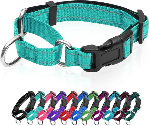 Collares de perro Martingala reflectantes. Collar de perro con hebilla de liberación rápida. Collar ajustable de nailon transpirable acolchado suave