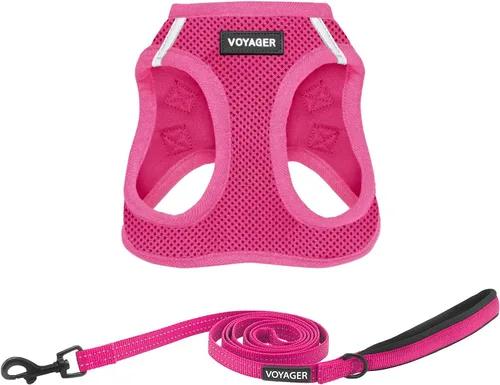 Miniatura 29 de Combo de arnés de malla Voyager Step-in Air para todo clima y correa reflectante para perro de 5 pies con mango de neopreno, para cachorros de razas