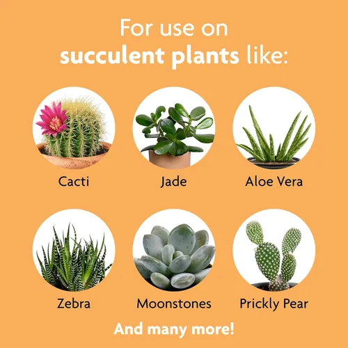 Miniatura 3 de Miracle-Gro Alimento para plantas suculentas, 8 onzas, para suculentas incluyendo cactus, jade y aloe