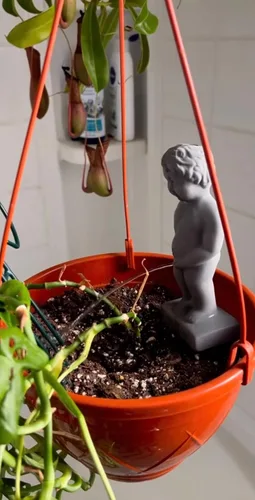 Miniatura 5 de NPW Plant Life - Estatua de estaca de riego automático "Pee My Plants", divertida estaca de riego automático, decoración novedosa para jardín