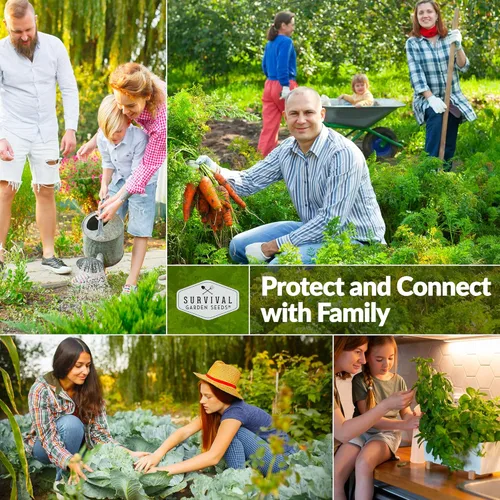Miniatura 5 de Daikon Semillas de rábano para plantar, rábano blanco japonés tradicional con raíces largas y suaves para huertos domésticos, semillas de jardín