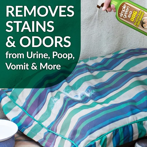 Miniatura 3 de Bio Active - Removedor de manchas y olores para mascotas y alfombras, seguro para mascotas y personas, espray de 32 onzas