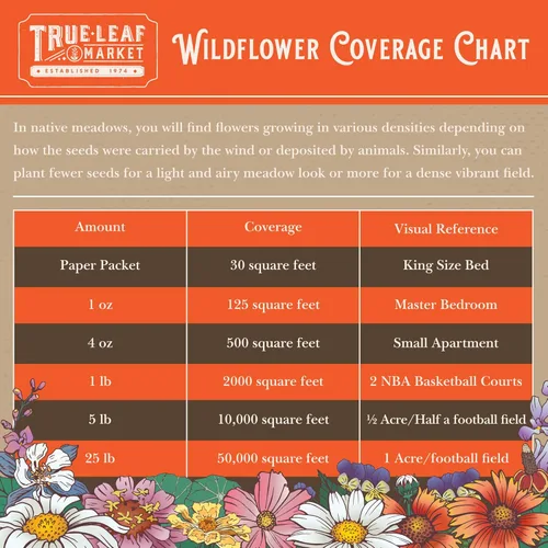 Miniatura 5 de Colección Wildflower Seeds - Más de 500,000 semillas a granel - 6 mezclas diferentes incluyendo colibrí y mariposa, Save The Monarchs, Save The