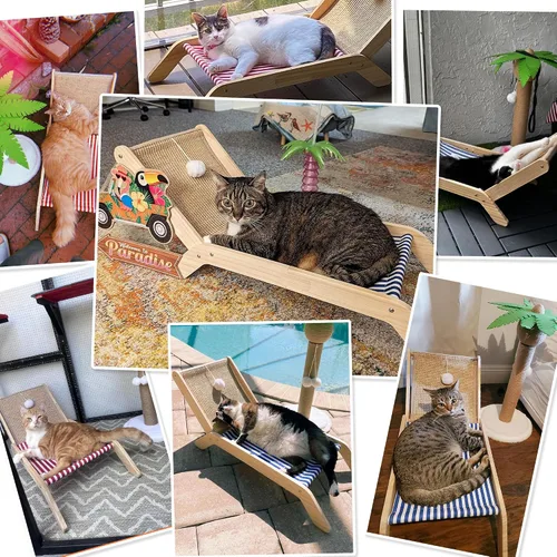Miniatura 6 de PETKARAY Silla de playa para gatos, camas elevadas para gatos de interior, tumbona acogedora original con rascador de sisal y pelota de juguete Azul