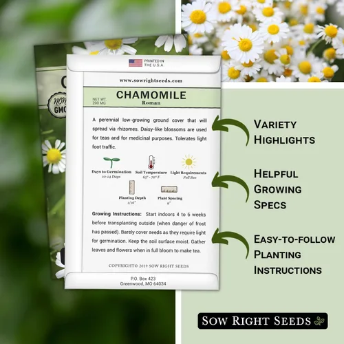 Miniatura 2 de Sow Right Seeds - Semillas de manzanilla romana para plantar - Paquete de reliquia sin OMG con instrucciones para cultivar un jardín de té