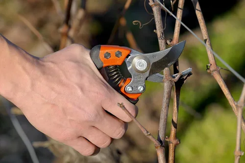 Miniatura 2 de Bahco BAHPX-S2 ERGO Tijeras de podar pequeñas de derivación, 7 pulgadas de largo, mango de agarre suave fijo recubierto de elastómero, capacidad