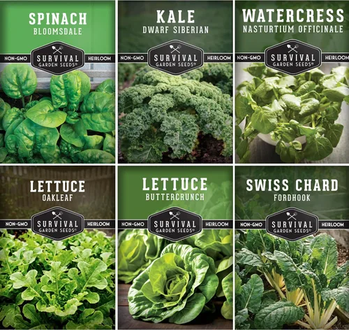 Colección de semillas de vegetales hidropónicos para plantar: berros, espinacas, col rizada siberiana, acelga, crunch, variedades de lechuga de hoja