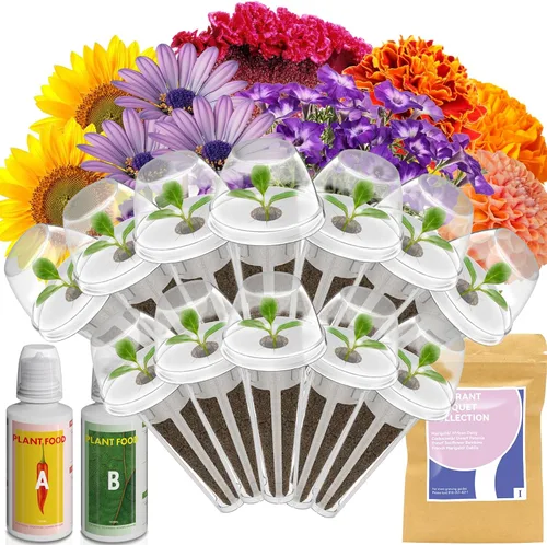 Miniatura 10 de Lyko Heirloom - Kit de vainas de semillas para ensalada AeroGarden, iDoo, Ahopegarden, GARDENCUBE, 7 cápsulas con lechuga American Fast/Paris