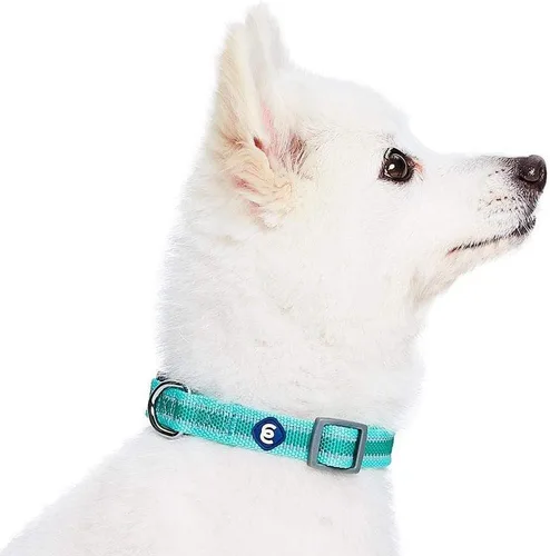 Miniatura 4 de Blueberry Pet Essentials - Collar para perros pequeños a juego, ajustable, clásico, de nailon, color sólido, para perros pequeños, collar