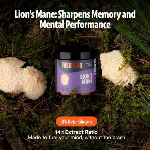 Miniatura 2 de FreshCap Mushrooms Suplemento de melena de leones en polvo, 14,000 mg, extracto de melena de león, suplemento de hongos para concentración