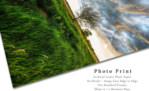 Miniatura 2 de Great Plains - Impresión fotográfica (sin marco), imagen vertical del árbol bajo el cielo tormentoso en el día de primavera en la pradera de Kansas
