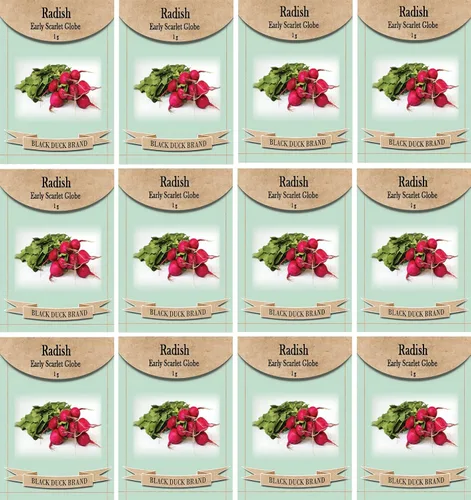 Miniatura 17 de Juego de 12 paquetes de semillas de verduras de roqueta de rúcula, crea un jardín de lujo, todas las semillas son reliquias, 100% sin OMG