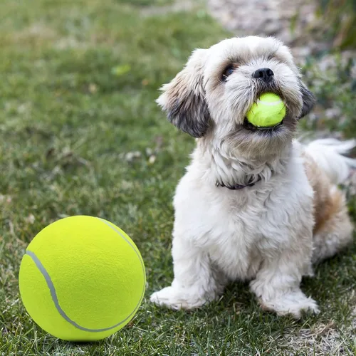 Miniatura 7 de Magicorange Paquete de 4 pelotas de tenis gigantes de 9.5 pulgadas, pelotas de tenis grandes para perros, para deportes al aire libre
