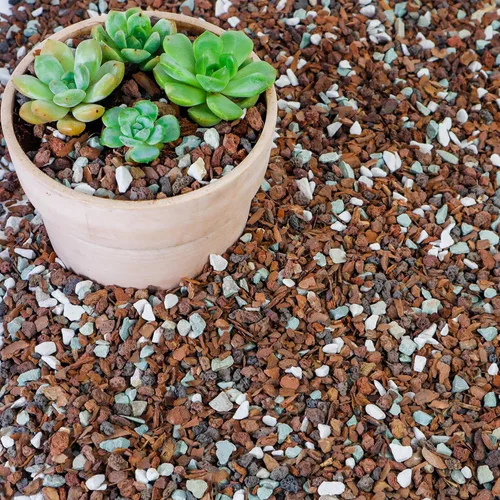 Miniatura 9 de Mezcla de suelo para bonsái de 2 cuartos, lava, corteza, roca volcánica, zeolita verde y perlita, mezcla orgánica natural para plantas en maceta