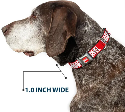 Miniatura 6 de Buckle-Down Collar de perro hebilla de cinturón de seguridad Marvel Red Brick Logo Rojo Blanco 9 a 15 pulgadas 1.0 pulgadas de ancho, multicolor