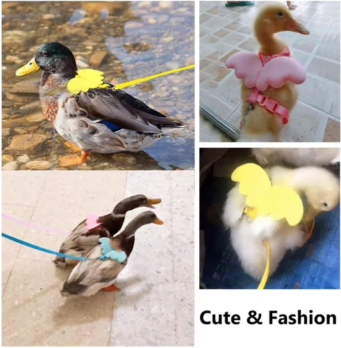 Miniatura 6 de QBLEEV Pet Cole Duck - Arnés para caminar al aire libre, cuerda de tracción ajustable para entrenamiento al aire libre para gallina y gallina Azul
