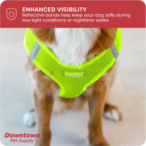 Miniatura 7 de Downtown Pet Supply - Arnés ajustable para perro con chaleco acolchado, sin tirones, fácil de poner, para perros pequeños, medianos y grandes