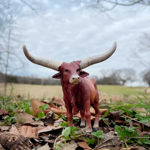 Miniatura 2 de Safari Ltd. Watusi Figura de toro – Figura detallada de vaca de plástico de 6 pulgadas – Juguete educativo de animales de granja para niños, niñas
