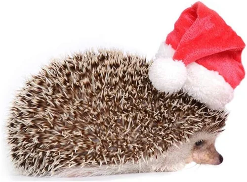 Miniatura 3 de Ropa de erizo, disfraz de Navidad, traje de Papá Noel, ropa de animal pequeño, forro polar hecho a mano, sudadera con capucha de erizo, accesorios