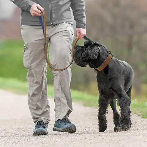 Miniatura 2 de Didog Juego de collar y correa de cuero acolchado suave para perro, correa ajustable y collar con hebilla de metal, collares transpirables