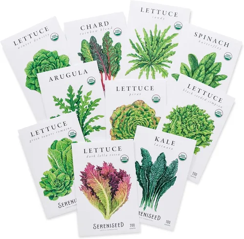 Sereniseed Colección de semillas de lechuga de hojas verdes certificadas orgánicas (paquete de 10) – 100% sin transgénicos, polinización abierta –