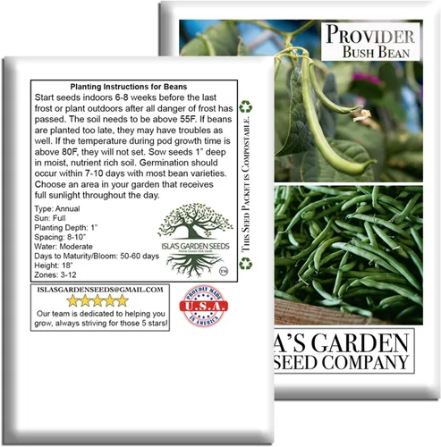 Miniatura 5 de Provider Bush - Semillas de frijol verde (Phaseolus vulgaris) - Más de 30 reliquias sin OMG de Isla's Garden, variedad de cosecha temprana