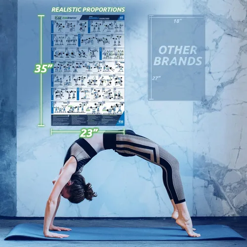 Miniatura 9 de EverStretch Póster de entrenamiento con barra para gimnasio en casa, con instrucciones en video (idioma español no garantizado), grande de 23 x 35