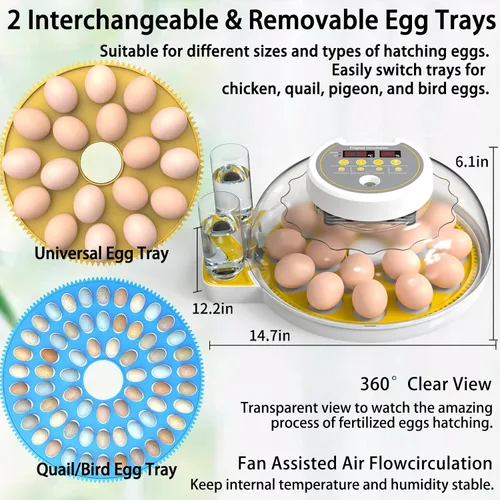 Miniatura 2 de Incubadora 18/60 para incubar huevos, incubadoras de huevos con pantalla de humedad, vela de huevos, girador automático de huevos, incubadora