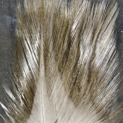 Miniatura 7 de Hareline Fly Tying Coq De Leon Feathers for Dry Fly Tails, Nymphs, and Euro Patterns
