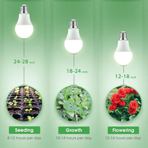 Miniatura 7 de Briignite Bombillas de crecimiento, bombilla LED A19, bombilla de crecimiento de espectro completo, base E26, bombilla de cultivo de 11 W, Blanco