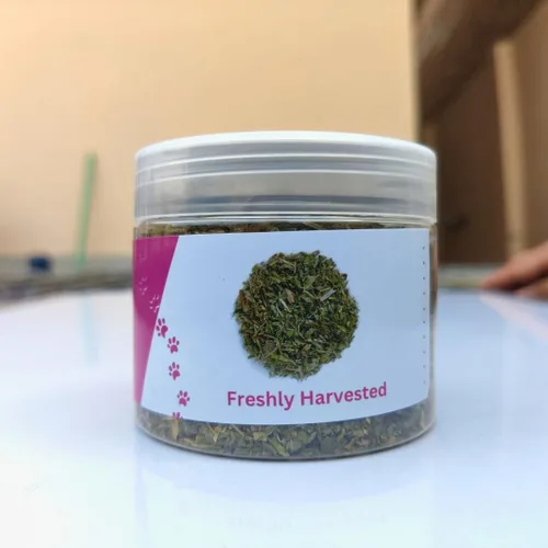 Miniatura 2 de Hierba gatera 100% natural para gatos y gatitos, mezcla orgánica prémium para energizar y excitar a los gatos, seguro para jugar con gatos