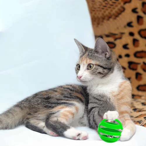 Miniatura 7 de Kasyat 21 bolas de plástico para gatos con campanas, juguetes para gatos, celosía para el interior del gatito, persecución de golpe, juguete