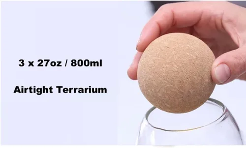 Miniatura 4 de Terrarios de vidrio con tapa de madera hermética (corcho de bola) Macetas de terrario cerradas Recipientes para botellas de vidrio transparente