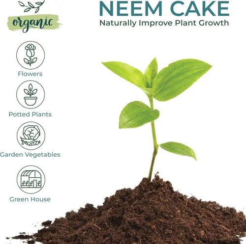 Miniatura 4 de Zatural Natural Neem Cake Powder Acondicionador orgánico prémium para suelos y fertilizantes para plantas Harina de semillas Azadirachta Indica