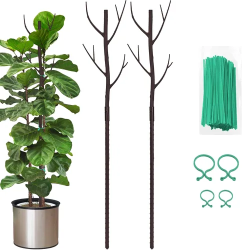 Estacas de soporte para plantas de interior, enrejado para plantas en maceta de casa, flores, palos de soporte Monstera con clips de orquídea, lazos