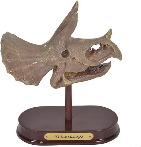 Miniatura 12 de ArtCreativity Kit de excavación de dinosaurios para niños, juego de excavación de cráneo de braquiosaurio con herramientas de excavación de fósiles