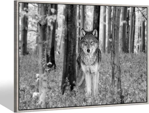 Miniatura 12 de Sea Whisper - Lienzo de arte de pared de vida silvestre, lobo en la hierba con ojos firmes, naturaleza, bosque, escena de parque, pintura artística