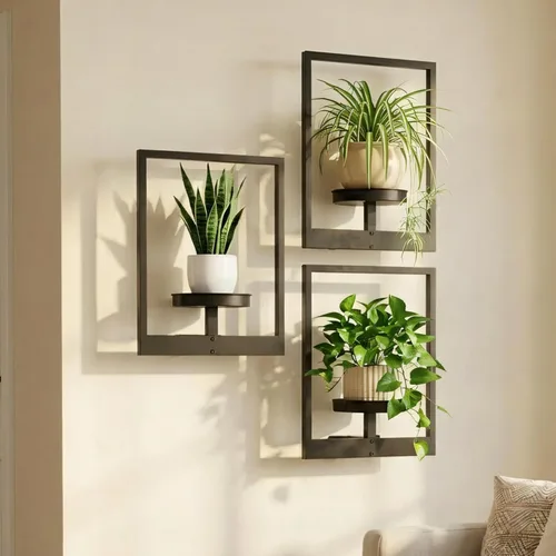 Juego de 3 macetas de pared con marco de fotos, estantes colgantes de metal modernos para plantas, soporte de pared inoxidable para interiores y