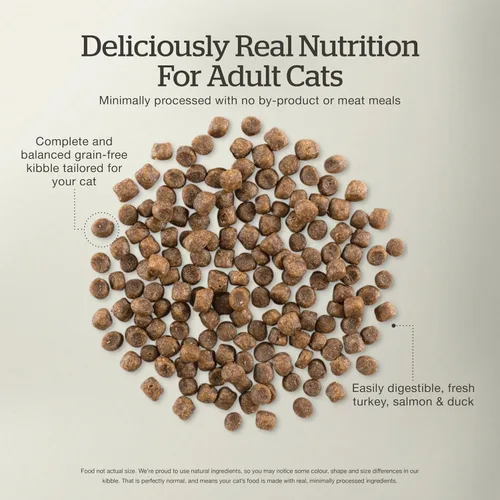 Miniatura 5 de Now Fresh Comida seca para gatos, pavo, salmón y pato, 16 libras y 3 libras, comida para gatos sin granos, hecha con carne y pescado reales, paquete