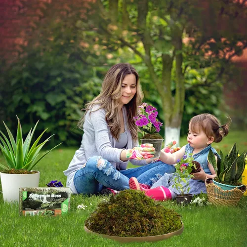Miniatura 7 de Doter Musgo de bosque seco para plantas (5 cuartos de galón / 1 paquete), musgo para macetas para varias plantas, incluyendo orquídeas, plantas
