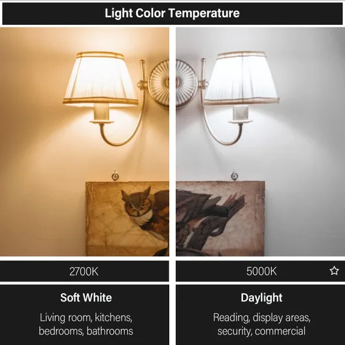 Miniatura 6 de Maelsrlg Bombilla LED R14 de 4 W (equivalente a 40 W), mini bombillas reflectoras de luz de inundación 5000 K, luz diurna, bombilla de gabinete