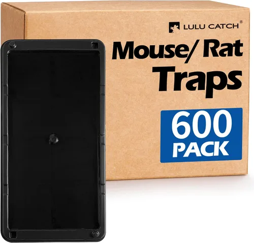 Miniatura 21 de LULUCATCH, trampas para ratones, 6 unidades de trampas grandes de pegamento para interiores para el hogar, tablas de pegamento a granel pre-cebadas