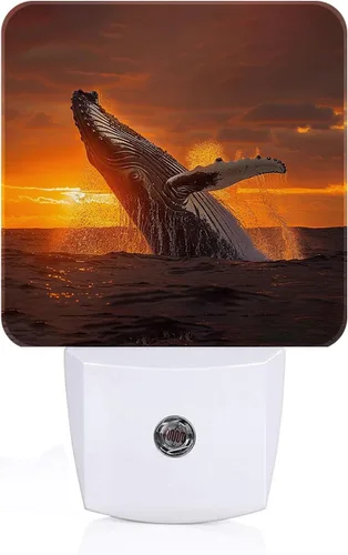 Miniatura 16 de Luz nocturna de luna en nube, luces nocturnas enchufables con sensor automático, lámpara de noche del atardecer al amanecer, decoración del hogar