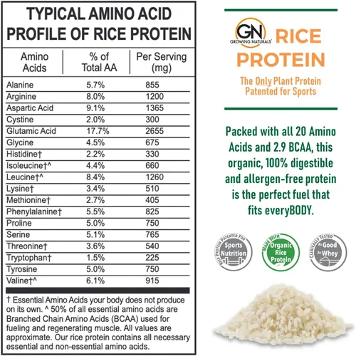 Miniatura 3 de Growing Naturals Proteína orgánica de arroz en polvo, sabor a chocolate, sin OMG, vegano, 16.8 onzas