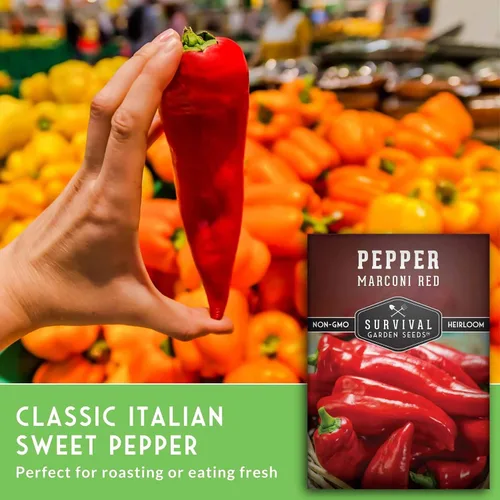 Miniatura 4 de Survival Garden Seeds - Semilla de pimiento rojo Marconi para plantar - Paquete con instrucciones para plantar y cultivar pimientos italianos dulces